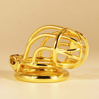 Cage de Chasteté Métal  Gold