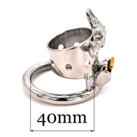 Cage de chasteté Métal  Anneau anti-érection  pour diamètre de 4 à 5 cm