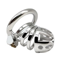 Cage a penis systeme verouillage 