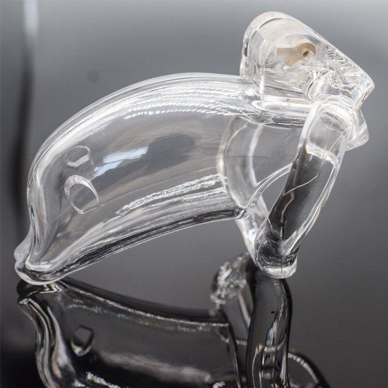 cage plastique dauphin