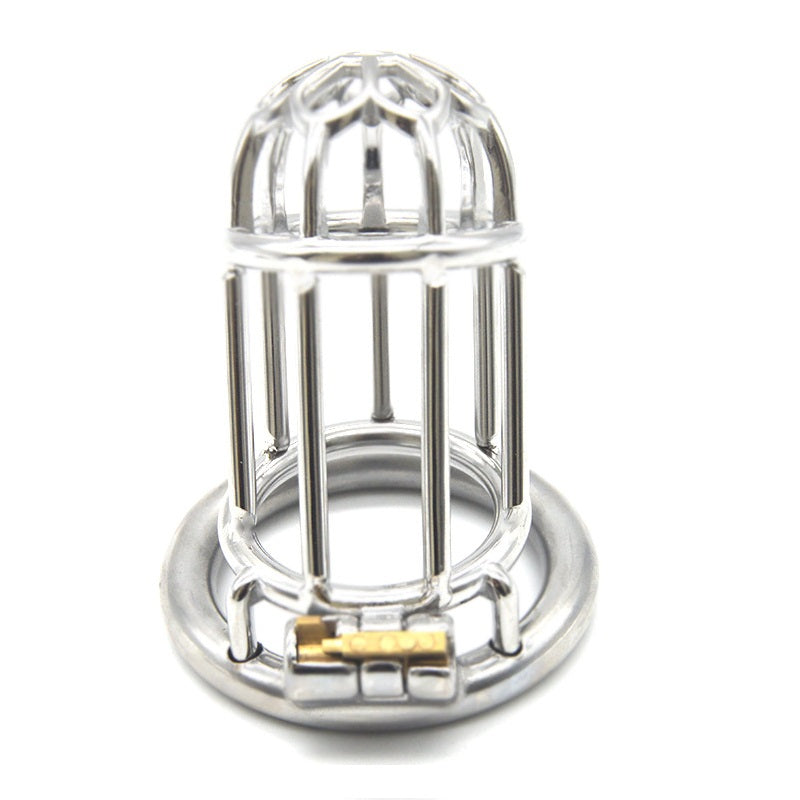 cage chastete metal torture sexuelle