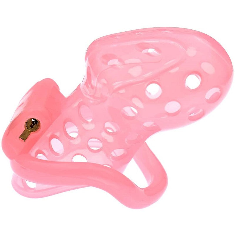 Cage de Chasteté Plastique  pour pénis entre 3,23 et 3,98 cm