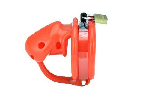 cage de chasteté prince albert silicone